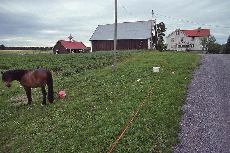 WT 3300 368-19 Norway Bliligaard.jpg